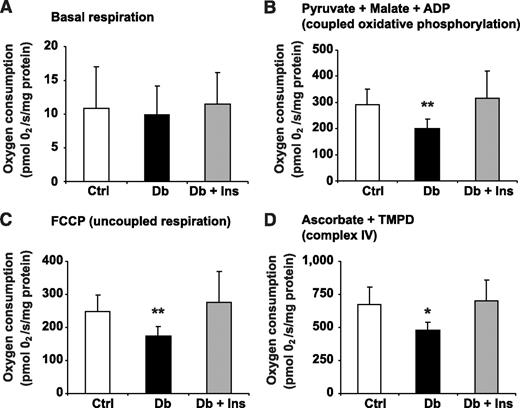 FIG. 3. Mitochondrial respiratory chain activity is impaired in freshly isolated mitochondria from lumbar DRG of 22 weeks of STZ-diabetic rats. After measurement of coupled respiration, the ATP synthase specific inhibitor, oligomycin, was added to prevent reverse pumping of protons by the ATPase, and then the uncoupled rate of mitochondrial respiration was generated by adding the uncoupling agent FCCP. Basal respiration (A), pyruvate + malate + ADP (coupled oxidative phosphorylation) (B), FCCP (uncoupled respiration) (C), and the respiration rate with Asc + TMPD (complex IV) (D) were measured in age-matched controls (Ctrl), STZ-diabetic rats (Db), and STZ-diabetic rats with insulin implant (Db + Ins) after 22 weeks of diabetes. Values are means ± SD, n = 6. *P < 0.05 vs. other groups; **P < 0.05 vs. Db + Ins (one-way ANOVA with Tukey's post hoc comparison). Treatment of the mitochondrial preparation with the uncoupler FCCP induced a four- to sixfold elevation in the rate of oxygen consumption over the basal rate confirming that the mitochondrial preparations were intact and of high quality in all groups.