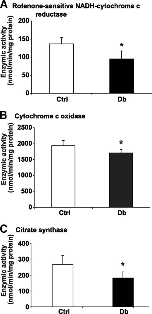 FIG. 4. Enzymatic activities of mitochondrial respiratory chain and citrate synthase activity are decreased in isolated mitochondria from lumbar DRG of STZ-diabetic rats. Enzymatic activity of complex I was assessed as rotenone-sensitive portion of NADH-cytochrome c reductase (NCCR) (n = 5) (A), cytochrome c oxidase (n = 6–7) (B), and citrate synthase (n = 5) (C) and was measured as described in research design and methods. Values are means ± SD, n = as indicated. *P < 0.05 vs. control (Ctrl) (unpaired Student's t test). Db, diabetic.