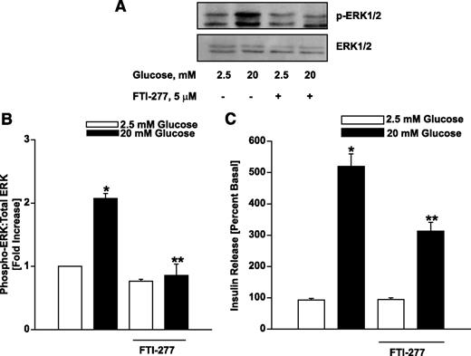 FIG. 2. FTI-277, a specific inhibitor of protein farnesylation, markedly attenuates ERK1/2 phosphorylation and insulin secretion in INS 832/13 β-cells. A: INS 832/13 cells were treated with either diluent alone or FTI-277 (5 μmol/l) as indicated in the figure and cultured overnight in low-glucose media. Cells were further incubated in the presence of either low (2.5 mmol/l) or high (20 mmol/l) glucose for 30 min at 37°C in the continuous presence of either diluent alone or FTI-277. Cell lysates were separated by SDS-PAGE followed by transfer to a nitrocellulose membrane. The membranes were then blocked and incubated with anti–p-ERK1/2 followed by incubation with HRP-conjugated secondary antibody. The same blots were then stripped and reprobed with ERK1/2 antibody. A representative blot from three experiments is shown here. B: The relative intensities of p-ERK1/2:total ERK1/2 ratio quantitated by densitometry. Data are expressed as fold increase over basal glucose and are means ± SEM from three experiments. *P < 0.001 vs. 2.5 mmol/l glucose and **P < 0.001 vs. 20 mmol/l glucose in the absence of FTI-277. C: INS 832/13 cells were treated with either diluent alone or FTI-277 (5 μmol/l) and cultured overnight in low-glucose media. Cells were further incubated in the presence of either low (2.5 mmol/l) or high (20 mmol/l) glucose for 30 min at 37°C in the continuous presence of either diluent alone or FTI-277. Insulin released into the medium was quantitated by ELISA. The data are expressed as percentage of basal and are means ± SEM from three independent experiments. *P < 0.05 vs. 2.5 mmol/l glucose and **P < 0.05 vs. 20 mmol/l glucose in the absence of FTI-277.