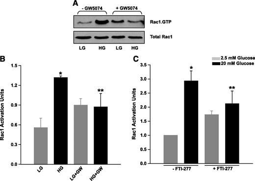 FIG. 7. Inhibition of Raf-1 kinase or FTase markedly attenuates glucose-induced activation of Rac1 in INS 832/13 cells. INS 832/13 cells were cultured overnight in low-serum, low-glucose media with either diluent alone or GW-5074 (10 μmol/l) as indicated in the figure. The cells were then incubated further (30 min) in the presence of either low (5 mmol/l) or high (20 mmol/l) glucose in the continuous presence of GW-5074 or diluent. The degree of Rac1 activation was determined by PAK/PBD pull-down assay. A: A representative blot from four independent experiments yielding similar results. B: Densitometric analysis of the ratio of total Rac1 and Rac1.GTP. Data are mean ± SEM from four determinations in each case. *P < 0.05 vs. diluent, **P < 0.05 vs. high glucose (20 mmol/l) alone and expressed as fold increase over basal. C: INS 832/13 cells were cultured overnight in low-serum, low-glucose media with either diluent alone or FTI-277 (10 μmol/l). The cells were then incubated further (30 min) in the presence of either low (2.5 mmol/l) or high (20 mmol/l) glucose in the continuous presence of FTI-277 or diluent. The degree of Rac1 activation was determined by PAK/PBD pull-down assay. Densitometric analysis of ratio of total Rac1 and Rac1.GTP. Data are mean ± SEM from two independent determinations in each case. *P < 0.05 vs. diluent, **P < 0.05 vs. high glucose (20 mmol/l) in the absence of FTI-277.