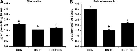 FIG. 2. Effect of CB1 antagonism on adiponectin concentration in visceral (A) and subcutaneous (B) fat. Mice were fed an HSHF diet for 25 weeks receiving during the last 6 weeks either 10 mg · kg−1 · day−1 of the CB1-specific antagonist SR141716 (HSHF+SR; n = 14) or the vehicle (HSHF; n = 10). In parallel, a series of mice was maintained on a control diet (CON; n = 5). Adiponectin concentration was measured in adipose tissue homogenates prepared as described in research design and methods. Results are expressed as means ± SE. Values with different superscript letters (a, b, c) are statistically different at P < 0.05.