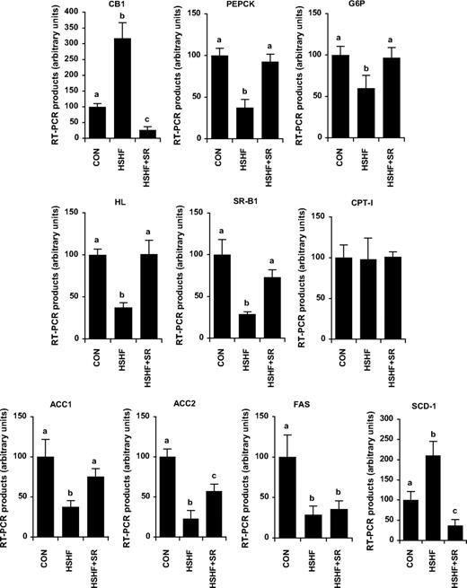 FIG. 3. Effect of CB1 antagonism on the mRNA expression of CB1 and genes involved in carbohydrate and lipid metabolism in the liver. Mice were fed an HSHF diet for 25 weeks receiving during the last 6 weeks either 10 mg · kg−1 · day−1 of the CB1-specific antagonist SR141716 (HSHF+SR) or the vehicle (HSHF). In parallel, a series of mice was maintained on a control diet (CON). For each gene, a standard curve was established from four cDNA dilutions (1/10–1/10,000) and used to determine the relative gene expression after normalization with a geometric average of 18S and TATA box binding protein expression. Results are expressed as means ± SE (n = 5 per group). Values with different superscript letters (a, b, c) are statistically different at P < 0.05.