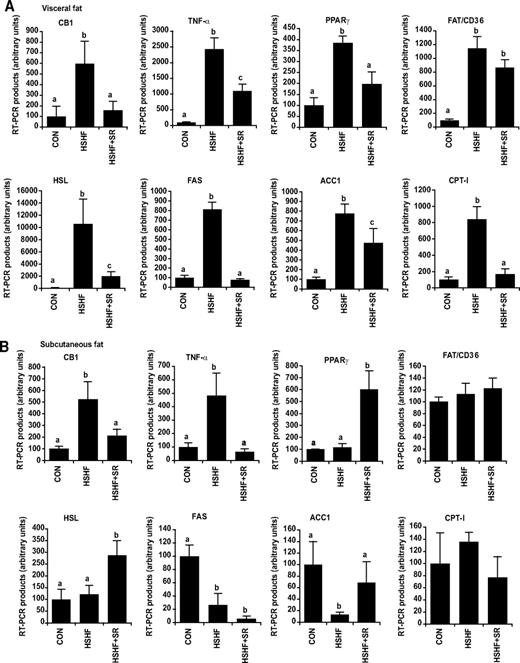 FIG. 4. Effect of CB1 antagonism treatment on the mRNA expression of CB1 and genes involved in adipocyte metabolism in epididymal (A) and inguinal (B) fat. Mice were fed an HSHF diet for 25 weeks receiving during the last 6 weeks either 10 mg · kg−1 · day−1 of the CB1-specific antagonist SR141716 (HSHF+SR) or the vehicle (HSHF). In parallel, a series of mice was maintained on a control diet (CON). For each gene, a standard curve was established from four cDNA dilutions (1/10–1/10,000) and used to determine the relative gene expression after normalization with a geometric average of 18S and TATA box binding protein expression. Results are expressed as means ± SE (n = 5 per group). Values with different superscript letters (a, b, c) are statistically different at P < 0.05.
