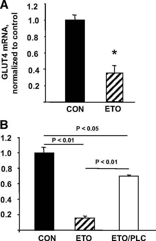 FIG. 5. Effects of etomoxir on GLUT4 mRNA expression are cell autonomous. 3T3–L1 adipocytes (days 6–8 post-differentiation) were treated with 25 nmol/l etomoxir. A: After 18 h, total RNA was isolated and qrt-PCR was used to determine mRNA levels of GLUT4 and actin. B: Cells were treated without or with 25 nmol/l etomoxir (ETO) as described above. During the final 4 h of incubation, 1 mmol/l palmitoyl-l-carnitine (PLC) in HEPES-buffered saline, pH 7.4, was added to etomoxir-treated cells. Total RNA was isolated and qrt-PCR was used to determine mRNA levels of GLUT4 and actin. Data were analyzed using a two-tailed Student's t test. *Significantly different from control (CON) (P < 0.05).
