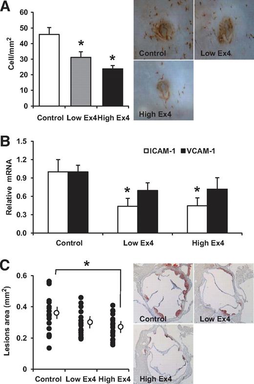 FIG. 4. Exendin-4 reduced monocyte adhesion to the endothelium and atherosclerotic lesions in apoE−/− mice. A: En face immunohistochemical staining with Mac-2 antibody of the aorta of each group. The density of adherent Mac-2–positive cells on the endothelium at branching areas in each group of mice after 28-day treatment (n = 7) and representative en face views of immunohistologic staining with Mac-2 antibody. B: Aortas harvested from each group of mice after 28-day treatment were used for isolation of total RNA. The mRNA expression levels of ICAM-1 and VCAM-1 were determined by quantitative RT-PCR. Relative gene expression is displayed as the level of expression in the test mice relative to that in the control group (set at 1.0, n = 5–7). C: Representative histologic sections of the aortic sinuses stained with oil red O after 28-day treatment. The mean area of oil red O–positive lesions was determined (n = 20). Data are mean ± SEM. *P < 0.05 versus control group. (A high-quality digital representation of this figure is available in the online issue.)