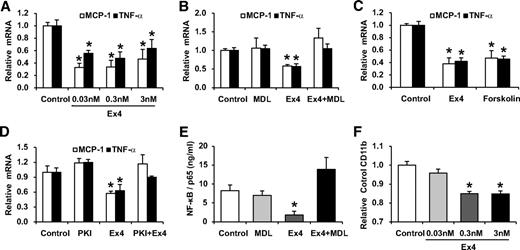 FIG. 5. Exendin-4 reduced the inflammatory response through cAMP signaling pathway in macrophages, and reduced the expression of CD11b in human monocytes. A: Peritoneal macrophages isolated from 8-week-old C57BL/6 mice were incubated with various concentrations of exendin-4 (0.03–3 nmol/l) for 1 h followed by treatment with LPS (1 μg/ml) for 1 h. Then, macrophages were used for isolation of total RNA. The mRNA expression levels of TNF-α and MCP-1 were determined by quantitative RT-PCR. Relative gene expression is displayed as the level of expression in peritoneal macrophages without the addition of exendin-4 set at 1.0 (n = 4–5). B: Peritoneal macrophages were preincubated with 5 μmol/l MDL-12330A for 30 min before the addition of 0.3 nmol/l exendin-4 and then incubated with LPS (1 μg/ml) for 1 h. Then, macrophages were used for isolation of total RNA (n = 4–6). C: Peritoneal macrophages were incubated with 0.3 nmol/l exendin-4 or 10 μmol/l forskolin for 1 h followed by LPS (1 μg/ml) for 1 h. Then, macrophages were used for isolation of total RNA (n = 4–5). D: Peritoneal macrophages were preincubated with 10 μmol/l PKI14-22 for 30 min before the addition of 0.3 nmol/l exendin-4 and then incubated with LPS (1 μg/ml) for 1 h. Then, macrophages were used for isolation of total RNA (n = 4–5). E: Peritoneal macrophages were preincubated with 5 μmol/l MDL-12330A for 30 min before the addition of 0.3 nmol/l exendin-4 and then incubated with LPS (1 μg/ml) for 1 h. Then, macrophages were used for isolation of nuclear protein extracts. The nuclear level of NF-κB p65 was determined by enzyme-linked immunosorbent assay (ELISA) (n = 3–4). F: Human monocytes isolated from healthy volunteers were incubated without or with various concentrations of exendin-4 (0.03–3 nmol/l) for 24 h. Then, the surface expression of CD11b was assessed by flow cytometry. Data are median fluorescence intensity relative to the control. *P < 0.05 versus the control group.