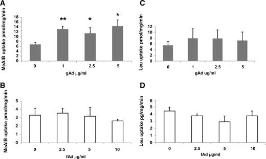 FIG. 1. Sodium-dependent 14C-MeAIB (A and B) and BCH-inhibitable 3H-leucine (C and D) uptake after incubation of cultured trophoblast cells in control media, gAd (A and C), or fAd (B and D) for 24 h. Data are mean ± SEM for cells isolated from six different placentas. gAd significantly (P < 0.05) stimulated MeAIB uptake in a dose-dependent manner (RMANOVA with post hoc tests, *P < 0.05, **P < 0.01).
