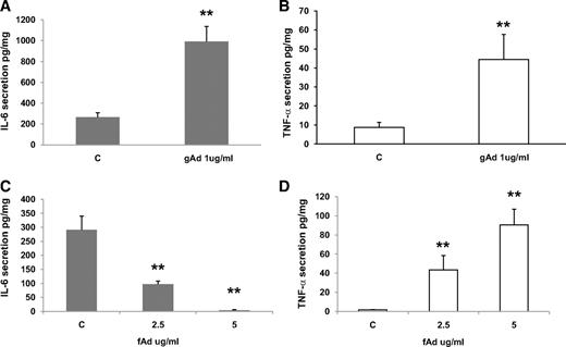 FIG. 4. A: IL-6 secretion was significantly (Student paired t test, P < 0.01) increased after incubation of cultured trophoblast cells with gAd (1 μg/ml). Data are mean ± SEM for six placentas. B: TNF-α secretion was significantly (Student paired t test, P < 0.01) increased after incubation of cultured trophoblast cells with gAd (1 μg/ml). Data are mean ± SEM for six placentas. C: IL-6 secretion was significantly (RMANOVA, P < 0.01) reduced in a dose-dependent manner after incubation of cultured trophoblast cells with fAd (1 μg/ml). Data are mean ± SEM for six placentas. D: TNF-α secretion was significantly (RMANOVA, P < 0.01) increased in a dose-dependent manner after incubation of cultured trophoblast cells with fAd. Data are mean ± SEM for six placentas. **P < 0.01.