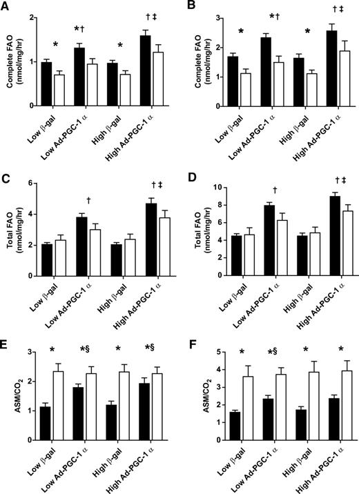 FIG. 2. Effect of PGC-1α overexpression on FAO and oxidation efficiency in HSkMC from lean (■) and obese (□) donors. HSkMC cultured from lean (n = 12) and obese (n = 9) donors was treated with either low- or high-dose recombinant Ad-β-gal or PGC-1α and incubated with either 100 μmol/l (A, C, and E) or 500 (B, D, and F) μmol/l [14C] oleate. Complete FAO was measured from 14C-labeled incorporation into CO2 (A and B). Total FAO (C and D) was measured as the sum of 14C-labeled incorporation into CO2 and 14C-labeled incorporation into ASMs, with ASM serving as an index of incomplete FAO. Oxidation efficiency was determined as the ratio of ASM to complete FAO, represented as ASM/CO2 (E and F), with higher values indicative of reduced efficiency. Data are expressed as means ± SE and significant differences denoted at the P ≤ 0.05 level. *Significant difference between lean and obese for that treatment. †Significant main effect comparing control (β-gal) and PGC-1 α overexpression (Ad-PGC-1α) at the respective adenoviral doses. ‡Significant difference between the high and low Ad-PGC-1α doses. §Significant increase in lean subjects with PGC-1α overexpression compared with control at the respective adenoviral doses.