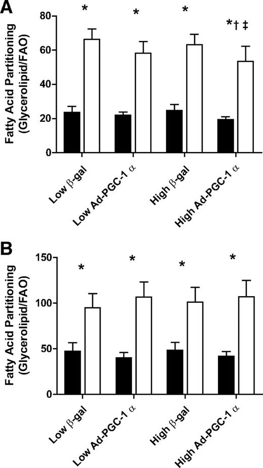 FIG. 4. PGC-1α overexpression does not normalize lipid partitioning rates between HSkMC from lean (■) and obese (□) donors. The partitioning of fatty acids between oxidative and storage pathways was evaluated by dividing the rate of oleate esterified into glycerolipid by the rate completely oxidized in response to either 100 μmol/l (A) or 500 μmol/l (B) [14C] oleate in HSkMC from lean (n = 8) and obese (n = 8) donors. Data are means ± SE and significant differences denoted at the P ≤ 0.05 level. *Significant difference between lean and obese for that treatment. †Significant main effect comparing control (β-gal) and PGC-1α overexpression (Ad-PGC-1α) at the respective adenoviral doses. ‡Significant difference between the high and low Ad-PGC-1α doses.