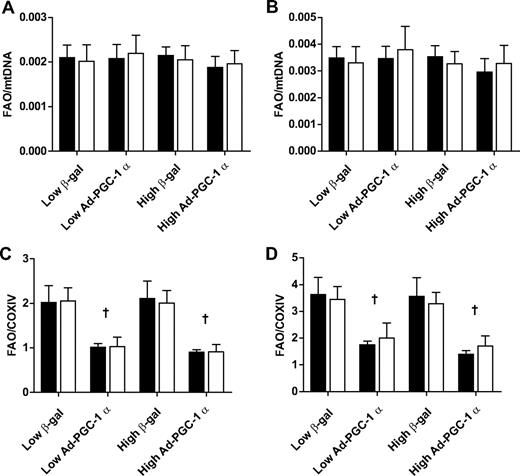 FIG. 6. FAO does not differ between HSkMC from lean (■) and obese (□) donors when normalized to indexes of mitochondrial content. FAO normalization to indexes of mitochondrial content were evaluated by dividing the rate of complete oleate oxidation from 14C-labeled incorporation into CO2 (FAO) by mtDNA copy number per diploid nuclear genome (A and B) or by COXIV protein expression in arbitrary units (C and D) under both 100 umol/l (A and C) and 500 umol/l (B and D) oleate conditions. FAO/mtDNA, n = 9 for lean and obese; FAO/COXIV, n = 8 for lean and obese. *Significant difference between lean and obese for that treatment. †Significant main effect comparing control (β-gal) and PGC-1α overexpression (Ad-PGC-1α) at the respective adenoviral doses.