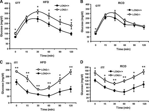 FIG. 3. Assessment of insulin sensitivity. GTTs (A) and ITTs (C) conducted in LCN2−/− mice on an HFD (n = 10–12, age 14–15 weeks). GTTs (B) and ITTs (D) conducted in LCN2−/− mice on an RCD (n = 10–12, age 28–29 weeks). Data are represented as means ± SE. Experiments were repeated on two independent sets of mice, yielding similar results. *P < 0.05; **P < 0.01.