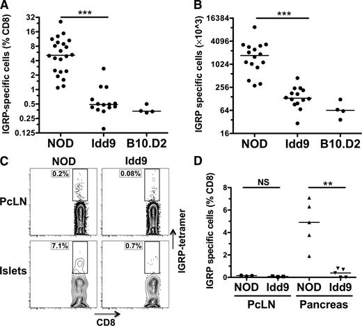 FIG. 2. The frequency of IGRP-specific CD8+ T-cells is significantly reduced in Idd9 congenic mice. NOD, NOD-Idd9, and B10.D2 10- to 14-week-old female mice were infected with 1 × 107 pfu Vac-IGRP i.p. On day 7 after infection, spleens were analyzed by fluorescence-activated cell sorter (FACS) for CD8+ IGRP-tetramer+ cells. Pooled results from three experiments are shown; horizontal lines show median value. A: Frequency P < 0.0001 (***) of NOD (5.2%, IQR: 2.4–9.4%) vs. Idd9 (0.5%, IQR 0.4–0.6%) using the Mann-Whitney test. B: Total cell number P < 0.0001 (***) of NOD (1,731 × 103, IQR 996–2,939) vs. Idd9 (133 × 103, IQR 103–205) using the Mann-Whitney test. C and D: Islet-infiltrating leukocytes were isolated from the pancreas of NOD and Idd9 10- to 14-week-old female mice (three pooled mice). Pancreas leukocytes and PcLN cells were stained with IGRP-H2Kd tetramer anti-CD8+ and propidium iodide. C: Individual FACS plots. D: Collective data from three experiments. Line depicts mean value. PcLN, NOD (0.15 ± 0.04%) vs. Idd9 (0.08 ± 0.03%), P = 0.06; pancreas, NOD (4.8 ± 2.1%) vs. Idd9 (0.4 ± 0.4%), P = 0.0015 (**, mean ± SD, P value calculated using unpaired t test). NS, not significant.