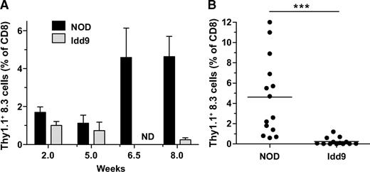 FIG. 4. Deletion of NOD-8.3 CD8+ T-cells is restored in Idd9 mice. NOD-Thy1.1+ 8.3 T-cells (1 × 104) were transferred into 7- to 10-week-old NOD or Idd9 mice. A: After 2, 5, 6.5 or 8 weeks, mice were infected with Vac-IGRP, and the frequency of Thy1.1+ CD8+ T-cells was determined in the spleen 7 days later. Data from between 3 and 14 mice are pooled per time point. Mean ± SEM is shown. ND, not done. B: Individual mice from the 8-week time point are shown. NOD vs. Idd9 at 8 weeks, P < 0.0001 (***) using the Mann-Whitney test. The mean line is shown for each group.