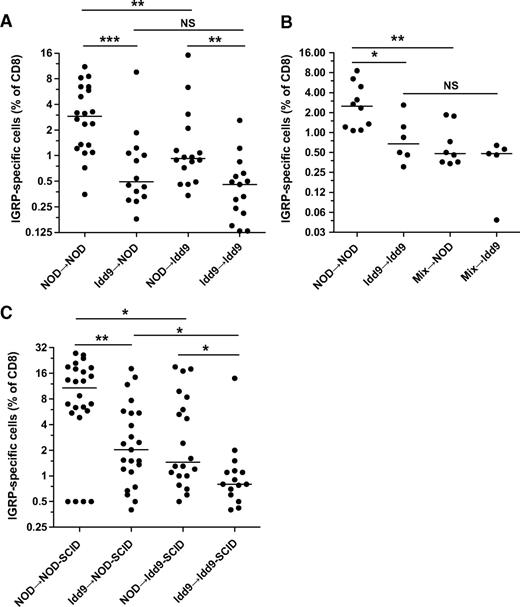 FIG. 6. Expression of Idd9 genes by both hematopoietic cells and nonlymphocytes contributes to CD8+ T-cell tolerance. Recipient female Thy1.2+ mice were irradiated with 1200 rad and reconstituted with 7 × 106 T-cell–depleted bone marrow cells from Thy1.1+ donors (A) or a 50:50 mix of NOD and Idd9 bone marrow (B). After 12 weeks, the mice were infected with 1 × 107 pfu Vac-IGRP. Splenocytes were stained 7 days later with anti-CD8-FITC and IGRP-tetramer-PE. Pooled data from three experiments are shown. Horizontal line depicts median value. A: NOD→NOD vs. Idd9→NOD P = 0.0006 (***), NOD→NOD vs. NOD→Idd9 P = 0.006 (**), Idd9→NOD vs. Idd9→Idd9 P = 0.24, NOD→Idd9 vs. Idd9→Idd9 P = 0.004 (**), NOD→NOD vs. Idd9→Idd9 P < 0.0001 (Mann-Whitney test). B: NOD→NOD vs. mix→NOD P = 0.005 (**), NOD→NOD vs. Idd9→Idd9 P = 0.016 (Mann-Whitney test). C: NOD-SCID and Idd9-SCID mice were reconstituted with 2 × 107 spleen and LN cells from 3- to 4-week-old NOD or Idd9 mice. After 10 weeks, the mice were infected with Vac-IGRP, and IGRP-tetramer+ CD8+ T-cells were measured in the spleen 7 days later. Pooled data from three experiments are shown.