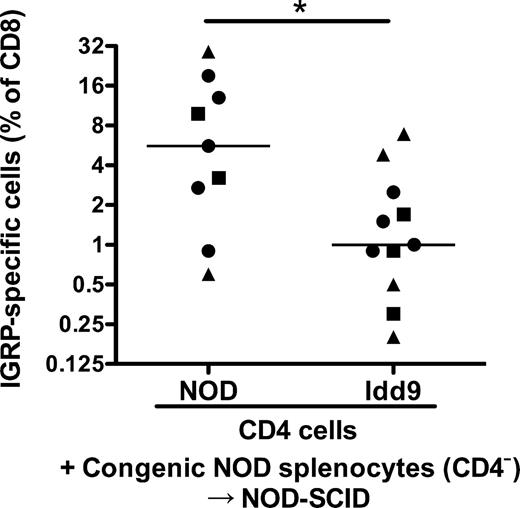 FIG. 7. CD4+ T-cells expressing Idd9 genes are sufficient to restore CD8+ tolerance in NOD mice. Purified NOD or Idd9 Thy1.2/CD45.1 CD4+ T-cells (6 × 106) were cotransferred with 1 × 107 NOD-Thy1.1 or NOD-CD45.2 congenic CD4+-depleted spleen and LN cells, all from 4-week-old donor mice, into NOD-SCID mice. After 10 weeks, mice were infected with Vac-IGRP and IGRP-tetramer+ CD8+ T-cells measured in the spleen 7 days later. Pooled data from three experiments are shown; NOD (5.6%, IQR 2.7–13%) vs. Idd9 (1%. IQR 0.7–2.1%) P = 0.027 (*). In the second (circles) and third (squares) experiments the CD4+ T-cells were purified by FACS sorting. Horizontal line depicts median value.