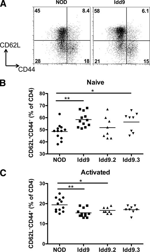 FIG. 8. The frequency of naturally occurring naive and activated phenotype CD4+ cells differs between NOD and Idd9 mice. Spleens of female 8- to 10-week-old mice were analyzed for expression of CD4, CD62L, and CD44 by flow cytometry. A: Representative FACS plots. B: Frequency of CD4+CD62L+CD44− naive cells. C: Frequency of CD4+CD62L−CD44+ activated phenotype cells. Three pooled experiments are shown. Horizontal line depicts mean value. Groups compared by Student t test. A: NOD (48.5 ± 6.6%) vs. Idd9 (58.4 ± 6.1%), P = 0.0009 (**). NOD vs. Idd9.3 (56.4 ± 8.1%), P = 0.02 (*). B: NOD (19.4 ± 3.3%) vs. Idd9 (15.4 ± 22%), P = 0.002 (**), NOD vs. Idd9.2 (16.6 ± 1.5%), P = 0.04 (*) (mean ± SD).