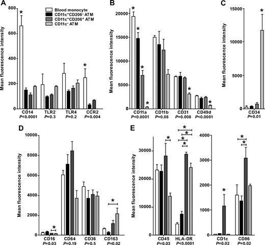 FIG. 4. A: Cell surface phenotype of subcutaneous ATMs and blood monocytes. Innate immune molecules. B: Integrins. C: CD34. D: Scavenger receptors. E: Adaptive immune molecules. Monocytes and ATM subsets were identified using anti-CD206FITC, -CD11c-allophycocyanin, and -CD14PC7 antibodies. PE-conjugated antibodies were used to determine the expression of cell surface markers. Results are means ± SE of three independent experiments. *Significantly different (P < 0.05) in ANOVA by posttest comparison.