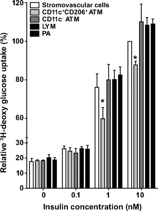 FIG. 7. Crown ATMs release factors that inhibit insulin action serum-free F3 medium was conditioned for 48 h with 50,000 total stromovascular cells, CD11c+CD206+ ATMs, CD11c− ATM, LYM, or PA cells. Differentiated human SGBS adipocytes were then incubated in conditioned medium (20% vol/vol) in fresh F3 medium for 48 h, before measurement of insulin-stimulated 3H-deoxyglucose uptake. Data (means ± SE) are from four independent experiments using cells isolated from subcutaneous (n = 3) and omental (n = 1) adipose tissue from three obese women with metabolic syndrome. Glucose uptake was normalized to the cpm values from total stromovascular cell-conditioned medium and 10 nmol/l insulin (100%). *Significantly different (P < 0.05) in ANOVA by posttest comparison.