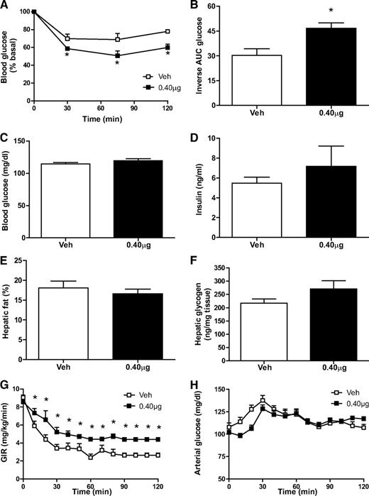 FIG. 2. Central infusion of hFGF21 improves insulin sensitivity in DIO rats. Percent basal blood glucose levels (A), inverse area under the curve (B) during ITT, 4-h fasted blood glucose (C), plasma insulin levels (D), hepatic fat (E), and glycogen content (F) obtained from male Wistar rats with DIO (n = 6 per group) that received continuous intracerebroventricular infusion of either hFGF21 (0.40 μg/day) or vehicle for 2 weeks. Glucose infusion rate (GIR) (G) and arterial glucose levels (H) were measured during the euglycemic-hyperinsulinemic clamp on day 7 of intracerebroventricular infusion in separate groups of rats. *P < 0.05 vs. vehicle (Veh).