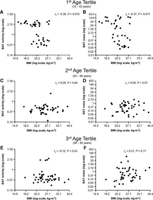 FIG. 1. Relationships of BMI with BAT activity and BAT mass in male subjects divided into tertiles by age (Spearman rank correlation) (1st/2nd/3rd age tertiles, respectively: n = 83/90/87).