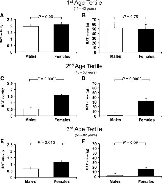 FIG. 2. Differences between sex in BAT activity and BAT mass (Wilcoxon rank-sum test) (1st/2nd/3rd age tertiles for male (and female) subjects, respectively: n = 40 (43)/41 (49)/43 (44).
