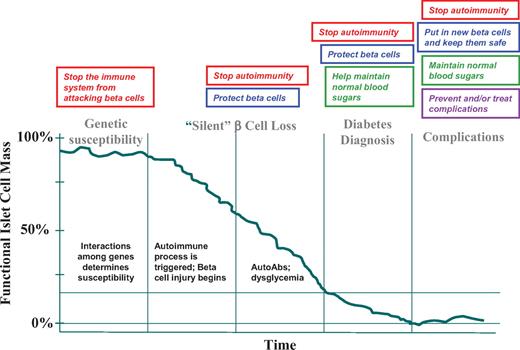 FIG. 1. The diagram outlines the natural history of type 1 diabetes and its complications (adapted from ref. 6). Therapeutic goals are mapped for each stage of disease. AutoAbs, to come from author.