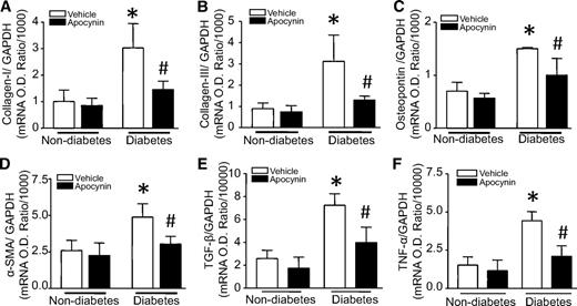 FIG. 6. Effect of apocynin on pro-fibrotic gene expression. Wild-type mice were rendered diabetic by STZ injection, and apocynin was administrated in the drinking water for 2 months. The mRNA levels of Col I (A), Col III (B), osteopontin (C), α-SMA (D), TGF-β1 (E), and TNF-α (F) were quantified in heart tissues by real-time RT-PCR. Data are means ± SD, n = 6–8. *P < 0.05 vs. nondiabetes in vehicle; #P < 0.05 vs. diabetes in vehicle. O.D., optical density.