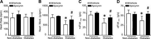 FIG. 8. Myocardial function in diabetic mice. Wild-type mice were rendered diabetic by STZ injection, and apocynin was administrated in the drinking water for 2 months. Mouse hearts were isolated and perfused in Langendorff system. Contractile function of heart was determined. Changes in heart rate (A), heart work (B), rate of contraction (+ dF/dTmax, C), and relaxation (−dF/dTmin, D) are presented. Data are means ± SD, n = 6–8. *P < 0.05 vs. nondiabetes in WT; #P < 0.05 vs. diabetes in WT.