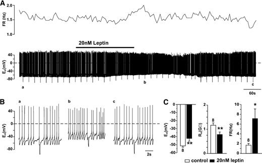 FIG. 5. Leptin depolarizes PPG neurons. A: Response to local application of 20 nmol/l leptin. Top trace shows the action potential firing rate (FR), and the bottom trace shows the full current-clamp recording. B: Periods of the recording indicated in A by a, b, and c at an extended timescale. Leptin caused a depolarization of the membrane potential (EM), decrease in membrane resistance (RM), and increase in action potential firing rate (FR). C: Mean data from eight cells showing the peak response for each parameter. *P < 0.05 against control; **P < 0.01 against control. Numbers of cells tested (n) are given above the bars.