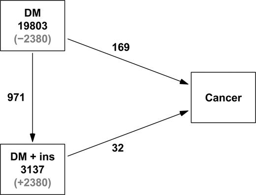 FIG. 1. Illustration of the exclusion of risk time from the noninsulin group. Numbers in boxes refer to follow-up time (in person-years), and the numbers on the arrows refer to the number of transitions (events). Follow-up time was derived from Table 1 in Yang et al. as case subjects/rate. The correct follow-up time is in black, and gray numbers represent the erroneous allocation by Yang et al. in the full cohort analysis. DM, nonuser group; DM + ins, insulin group.