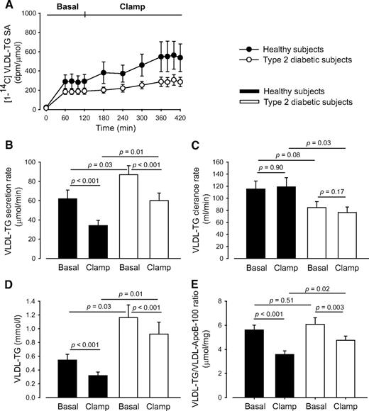 FIG. 3. VLDL-TG–specific activity (A), VLDL-TG secretion rate (B), VLDL-TG clearance rate (C), VLDL-TG concentration (D), and VLDL-TG/VLDL-ApoB-100 ratio (E) in the VLDL-TG SA steady state periods. Black circles and bars, healthy subjects; open (white) circles and bars, type 2 diabetic subjects. Data are mean ± SEM.