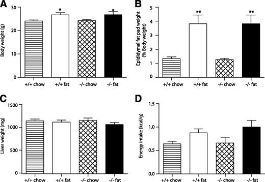 FIG. 1. Metabolic parameters of Id1−/− and wild-type mice fed a standard chow diet (hatched bars and striped bars, respectively) or a high-fat diet (black bars and white bars, respectively) for 6 weeks. A: Body weight for wild-type (n = 22) and Id1−/− (n = 22) mice fed a chow diet and wild-type (n = 16) and Id1−/− (n = 11) mice fed a high-fat diet. *P < 0.05 for effect of diet in wild-type and Id1−/− mice. B: Epididymal fat pad weight. Results are expressed as a percentage of body weight for wild-type (n = 5) and Id1−/− (n = 6) mice fed a chow diet and wild-type (n = 7) and Id1−/− (n = 7) mice fed a high-fat diet. **P < 0.01 for effect of diet in wild-type and Id1−/− mice. C: Liver weight for wild-type (n = 10) and Id1−/− (n = 6) mice fed a chow diet and wild-type (n = 8) and Id1−/− (n = 6) mice fed a high-fat diet. D: Energy intake of wild-type (n = 9) and Id1−/− (n = 6) mice fed a chow diet and wild-type (n = 12) and Id1−/− (n = 8) mice fed a high-fat diet. ANOVA: P < 0.05 for effect of diet.