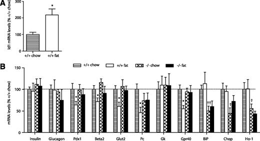 FIG. 6. Relative gene expression levels in islets. Islets were isolated from wild-type and Id1−/− mice fed a chow (striped bars and hatched bars, respectively) or a high-fat (white bars and black bars, respectively) diet. Total RNA was extracted, reverse transcribed, and analyzed by real-time PCR. A: Expression of Id1 in islets of wild-type mice fed a chow (n = 5) or a high-fat (n = 6) diet. *P < 0.05 for effect of fat diet. B: Expression of the genes indicated in wild-type mice fed a chow (n = 5–6) or a high-fat (n = 5–7) diet and Id1−/− mice fed a chow (n = 5–7) or a high-fat (n = 4–7) diet. *P < 0.05 for effect of fat diet in wild-type mice, †P < 0.05, and ††P < 0.01 for effect of genotype in chow-fed mice.