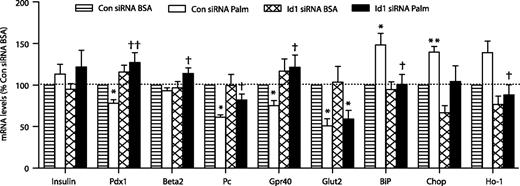 FIG. 8. Relative gene expression levels in MIN6 cells. MIN6 cells transfected with Id1 ON-TARGETplus SMARTpool siRNA or control Non-Targeting siRNA were treated with either 0.92% BSA alone or 0.92% BSA coupled to 0.4 mmol/L palmitate (Palm) for 48 h. Total RNA was extracted, reverse transcribed, and relative expression of the genes indicated determined by PCR for control siRNA-transfected cells treated with BSA (striped bars) or BSA-coupled palmitate (white bars) and Id1 siRNA-transfected cells treated with BSA (hatched bars) or BSA-coupled palmitate (black bars). Results are expressed as a percentage of mRNA levels in control (Con) siRNA-transfected cells treated with BSA (n = 4–7 in each group). *P < 0.05, **P < 0.01 for effect of palmitate treatment in control siRNA- and Id1 siRNA-transfected cells, †P < 0.05, and ††P < 0.01 for effect of Id1 siRNA in palmitate-treated cells.