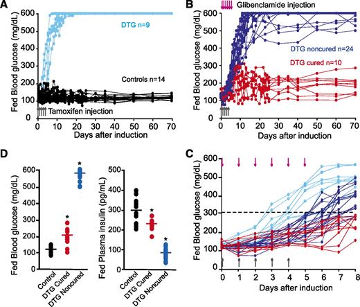 FIG. 1. Short period of intraperitoneal glibenclamide treatment of DTG mice early on can cause permanent remission of diabetes. A and B: Individual traces of fed blood glucose vs. time. Control (black) and SU untreated DTG mice (light blue; A) and DTG mice treated with the SU glibenclamide (0.5 g/kg; B) were injected intraperitoneally on days 0–5 during tamoxifen induction. Cured mice are shown in red, and noncured mice are shown in dark blue. C: The same data as in A (untreated DTG only; light blue), and cured (red) and noncured (dark blue) glibenclamide-injected mice, for the first 8 days after tamoxifen induction. D: Individual values of fed blood glucose and plasma insulin (day 60 after tamoxifen induction) from controls (black; n = 27 mice) and DTG animals (cured: red, n = 10 mice; and noncured: dark blue, n = 24 mice) acutely treated with glibenclamide. Significant differences: *P < 0.05 with respect to control.