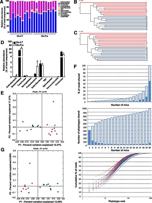FIG. 1. Analysis of the gut bacterial community by 16S rRNA pyrosequencing from obese mice on standard chow and prebiotic diets. A: Percentage of each community contributed by the indicated phyla. B: Clustering of mice cecal microbial communities in the two tested groups based on the unweighted UniFrac analysis and 97% ID phylotypes or (C) 100% ID phylotypes. Red corresponds to the standard chow diet (Ob-CT), and blue corresponds to the prebiotic diet (Ob-Pre). Branch length represents distance between environments in UniFrac units, indicated by the scale bar. D: Relative abundance of different phyla expressed as the percentage of total sequence reads. Mean ± SEM. n = 10 mice/group. *P < 0.05; #P < 0.1, determined by a two-tailed Student t test. PCoA based on the unweighted (presence/absence) UniFrac analysis and (E) 97% ID phylotypes or (G) 100% ID phylotypes. Each circle representing a single sample is colored according to the dietary conditions; red corresponds to Ob-CT and blue corresponds to Ob-Pre. F: Number of 97% ID phylotypes shared among a given number of mice (middle panel) and their corresponding abundance expressed as the percentage of total reads (top panel) indicated by blue bars. Cumulative data are indicated in gray. The bottom panel shows the relative abundance of 97% ID phylotypes, in which the x-axis indicates individual phylotypes ranked according to their relative abundance from high to low, and the y-axis indicates the cumulative abundance (the percentage of total reads). Gray triangles correspond to a pooled data set from 20 mice.