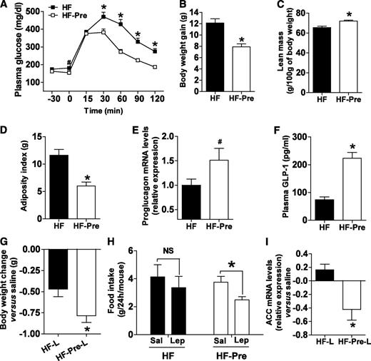 FIG. 5. Prebiotic-induced changes in gut microbiota are associated with improved leptin sensitivity and glucose homeostasis in diet-induced obese and diabetic mice. A: Plasma glucose profile after 2 g/kg glucose oral challenge in freely moving mice in the HF (■) and the HF-Pre (□) mice. B: Body weight gain. C: Lean body mass measured by nuclear magnetic resonance. D: Adiposity index, corresponding to the sum of the subcutaneous, the visceral, and the epididymal adipose depot weights. E: Colon proglucagon mRNA expression. F: Portal plasma GLP-1 level content. Mean ± SEM. n = 8 (HF) and 9 (HF-Pre). *P < 0.05; #P = 0.08, determined by a two-tailed Student t test. G: Body weight changes 2 days after twice-daily intraperitoneal leptin (0.375 mg/kg) in the HF (HF-L) and the HF-Pre mice (HF-Pre-L). Data from each group were normalized to their own paired saline control. Mean ± SEM. n = 10 mice/group. *P < 0.05, determined by a two-tailed Student t test. H: Food intake 24 h after two doses of intraperitoneal leptin (Lep) (0.375 mg/kg). Data from each group are compared with their own paired saline control (Sal) vs. leptin. Mean ± SEM. n = 10 mice/group. *P < 0.05, determined by a paired Student t test. I: Adipose tissue acetyl-CoA carboxylase (ACC) mRNA expression 6 h after intraperitoneal leptin (1 mg/kg) or saline in the HF (HF-L) and the HF-Pre mice (HF-Pre-L). Data from each group were normalized to their own saline control. Mean ± SEM. Saline, n = 4 mice/group; leptin, n = 6 mice/group. *P < 0.05, determined by a two-tailed Student t test.