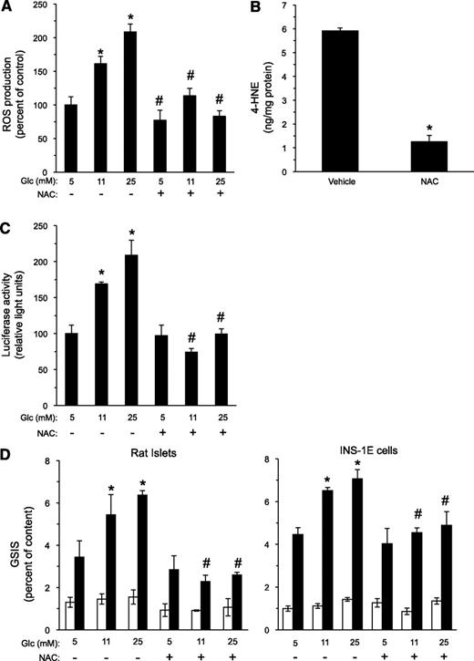 FIG. 6. NAC reduces ROS production, 4-HNE generation, and insulin secretion in β-cells. A: INS-1E cells were incubated for 16 h with the indicated glucose levels without or with 1 mmol/L NAC. ROS production was determined with the carboxy-DCF-fluorescence assay. Glc, glucose. *P < 0.05 for the difference from the 5 mmol/L glucose controls. #P < 0.05 for the difference from the cells incubated in the same glucose concentration without NAC. B: HPLC determination of 4-HNE in INS-1E cultures maintained at 25 mmol/L glucose, without or with 1 mmol/L NAC for 16 h, was performed as described in the legend to Fig. 2A. *P < 0.05 for the difference from the vehicle-treated controls. C: INS-1E cells were prepared for the PPRE-luciferase transactivation assay, as described in the legend to Fig. 4B, and incubated with the indicated glucose levels without or with 1 mmol/L NAC; luciferase activity was determined after 24 h of incubation. *P < 0.05 for the difference in luciferase activity in comparison with the control incubation at 5 mmol/L glucose in the absence of NAC. #P < 0.05 for the difference from cells incubated in the same glucose concentration without NAC. D: Rat islets and INS-1E cells were incubated with RPMI-1640 medium containing the indicated glucose concentrations in the absence or presence of 1 mmol/L NAC for 48 or 24 h, respectively. The islets and INS-1E cells were then washed and GSIS evaluated, as described in the Fig. 3A legend (white bars, 3.3 mmol/L glucose; dark bars, 16.7 mmol/L glucose). Insulin secretion is presented as percent of insulin content. *P < 0.05 for the difference in stimulated secretion compared with cells maintained at 5 mmol/L glucose. #P < 0.05 for differences from the respective NAC-free incubation. Results are mean ± SEM, n = 3.
