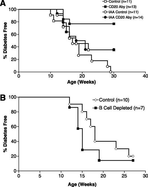 FIG. 2. Anti-CD20–mediated B-cell depletion strongly inhibits progression to overt diabetes development only when initiated in NOD mice that have not yet become IAA positive. A: Serum was collected from 10-week-old NOD female mice that then immediately began to receive treatments at 21-day intervals with the IgG1 CD20-specific or control antibody at a 10 mg/kg body wt dose. Serum samples were retrospectively assessed for the presence of IAAs and the mice monitored for diabetes development. Mice used for the analyses had a spread of eight separate birth dates and, thus, were entered into the treatment groups in a staggered fashion. Anti-CD20 treatment significantly suppressed diabetes development in the IAA-negative (P = 0.04) but not IAA-positive recipients (P = 0.14, Kaplan-Meier analyses). B: IAA-negative NOD female mice receiving a single anti-CD20 treatment at 10 weeks of age were not protected from subsequent diabetes development. Aby, antibody.