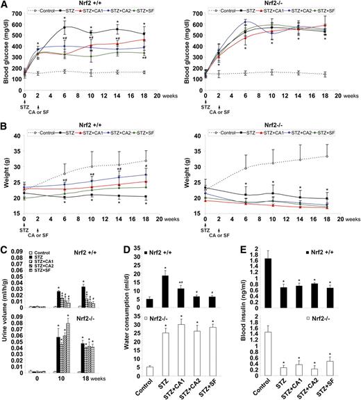 FIG. 1. Activation of Nrf2 by SF or CA improves metabolic disorder in an STZ-induced diabetic model. A: The average level of blood glucose in each animal group is plotted. STZ animals (■) showed significant increase in blood glucose levels in both Nrf2+/+ (left panel) and Nrf2−/− animals (right panel). SF (♦) and CA (●,▲) treatment significantly reduced blood glucose in Nrf2+/+ only. B: Body weights of Nrf2+/+ (left panel) and Nrf2−/− (right panel) animals are displayed. STZ injection (■) caused significant decrease in weight in all animals that was recovered by SF (♦) and CA (●,▲) treatment in Nrf2+/+ only. C: Urine output from Nrf2+/+ (top panel) and Nrf2−/− (bottom panel) animals is shown. STZ injection increased urine output in Nrf2+/+ animals (top panel) with a more significant increase in Nrf2−/− animals (bottom panel). SF and CA treatment significantly reduced urine output at 10 and 18 weeks in Nrf2+/+ only. D: Water consumption in the last 24 h before these mice were killed is reported. STZ injection increased water intake in both Nrf2+/+ (top panel) and Nrf2−/− (bottom panel) animals. SF and CA treatment significantly reduced consumption in Nrf2+/+ only. E: Blood insulin is displayed. STZ injection decreased blood insulin levels in both Nrf2+/+ (top panel) and Nrf2−/− (bottom panel) animals. SF and CA did not affect insulin levels in any animals. Data in A–E are expressed as mean ± SD (n = 8). *P < 0.05 compared with control. #P < 0.05 dietary treatment compared with STZ alone. (A high-quality color representation of this figure is available in the online issue.)