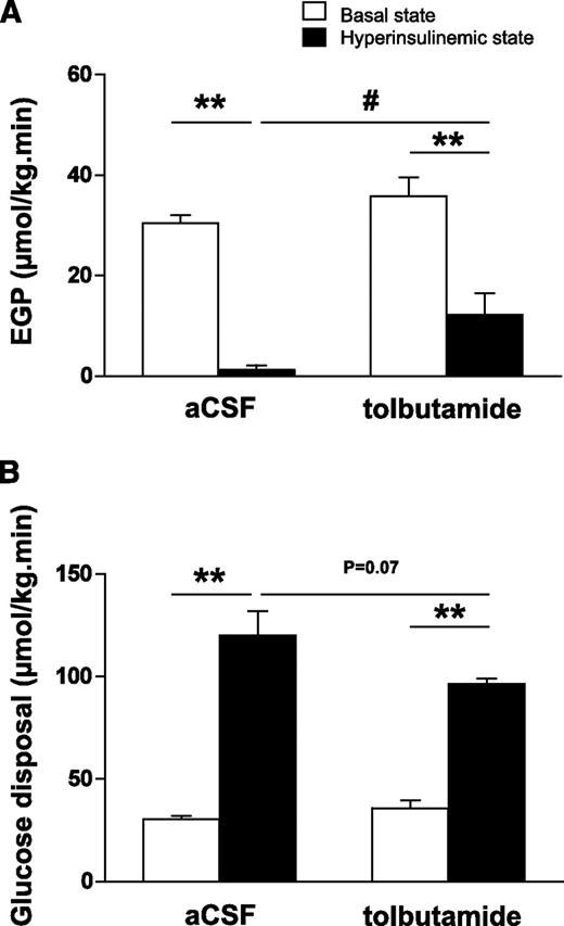 FIG. 3. A and B: Rates of EGP (A) and glucose disposal (B) in the basal state or hyperinsulinemic-euglycemic state in chow-fed mice. Throughout the experiment, mice received intracerebroventricular infusion of vehicle or tolbutamide. Values represent means ± SEM for at least eight mice per group. **P < 0.01, basal vs. hyperinsulinemic state; #P < 0.05, hyperinsulinemic state: vehicle vs. tolbutamide.