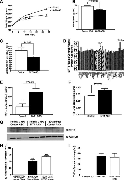 FIG. 1. Knockdown of SirT1 mimicking that seen in obesity causes anorexia-driven weight loss and TNF-α elevation. A–C: Body weight (***P < 0.001) (n = 8–12/group) (A), anorexia (n = 12/group) (B), and loss of epididymal fat mass (n = 3–4/group) (C) of ad libitum fed rats treated with ASO biweekly for 1 month. D: Results from parallel measurement of plasma appetite regulatory hormones in animals treated with control or SirT1 ASO showing elevated TNF-α and possibly IL-6 in the SirT1 group (n = 7–8/group, pooled). E: Plasma TNF-α levels (n = 5/group). F: Adipose tissue levels of TNF-α (n = 3–4/group). G: SirT1 protein expression in WAT from animals treated with control ASO and fed normal chow, animals treated with SirT1 ASO and fed normal chow, and mildly diabetic animals fed high-fat/high-fructose chow. H: Quantification of representative data presented in F (n = 6/group). I: Plasma TNF-α levels in normal chow–fed control ASO–treated rats, normal chow–fed SirT1 ASO–treated rats, and high-fat diet–fed, control ASO–treated rats by electrochemiluminescence (n = 4–5/group). HFD, high-fat diet.