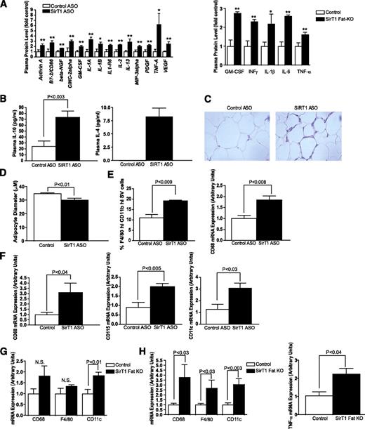 FIG. 2. SirT1 knockdown/deletion causes adipose tissue inflammation and macrophage infiltration. A: Cytokine array performed on plasma from normal chow–fed control ASO– and SirT1 ASO–treated rats (n = 4/group). *P < 0.05, **P < 0.01 (left). Cytokine array performed on plasma from chow-fed wild-type and fat-specific SirT1 knockout mice (n = 4/group). *P < 0.08, **P < 0.03 (right). B: Plasma IL-10 levels collected at the onset of hypophagia (1 week) (n = 10/group) and plasma IL-4 after 1 month of ASO treatment. C: Representative hematoxylin and eosin staining from epididymal WAT of individual rats fed normal chow and treated with control ASO or SirT1 ASO (representative of 5 rats/group). D: Reduced adipocyte diameter in SirT1 ASO–treated rats. E: Adipose tissue macrophage content, as assessed by FACS, and adipose tissue CD68 mRNA expression in mice (n = 5/group). F: Macrophage/monocyte (CD68, CD115) and macrophage/dendritic cell (CD11c) marker mRNA expression in rat adipose tissue (n = 4–7). G: Macrophage-related mRNA abundance in adipose tissue from SirT1 fat-specific knockout mice fed a chow diet (8–12 weeks of age, n = 4–6/group). H: Macrophage marker/cytokine mRNA abundance in adipose tissue from SirT1 fat-specific knockout mice fed a high-fat diet for 1 month (n = 3–7/group). GM-CSF, granulocyte-macrophage colony-stimulating factor; KO, knockout; N.S., nonsignificant. (A high-quality digital representation of this figure is available in the online issue.)