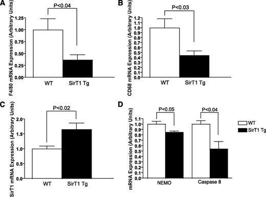 FIG. 4. Overexpression of SirT1 reduces high-fat diet–induced increases in WAT macrophage content. A and B: Reduced F4/80 (A) and CD68 (B) expression in WAT of high-fat diet–fed SirT1-overexpressing mice by qPCR. C: Verification of SirT1 overexpression in WAT (n = 5/group). D: NEMO and CASP8 expression, also in WAT (n = 3/group).