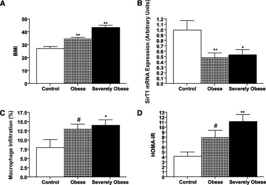 FIG. 5. SirT1 transcript level is inversely correlated with both BMI and adipose tissue macrophage content in humans. A: Control, obese, and severely obese subjects were stratified by BMI. Obese and severely obese subjects have decreased SirT1 expression (B) and increased macrophage content (C) in subcutaneous adipose tissue. Macrophages (CD68+ cells) within an entire section were counted by two independent observers using a light microscope. % macrophages = number of macrophages / number of adipocytes × 100. Obese and severely obese subjects have elevated HOMA-IR (D). **P < 0.01, *P < 0.05, #P < 0.10. Note: 18 of the 45 subjects examined are also being studied for the contributions of a gene polymorphism to SirT1 gene expression.