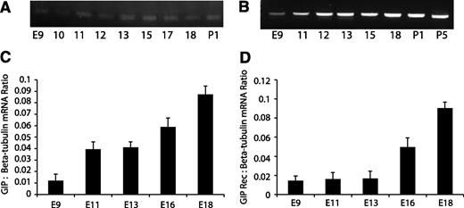 FIG. 2. RT-PCR for GIP ligand showed that mRNA expression of GIP was present as early as E9.5 and continued through later gestational stages and into postnatal stages (A). Semiquantitative RT-PCR showed increasing GIP expression after E9.5 (C). B: RT-PCR of GIPR (GIP Rec) showed that there was consistent expression of GIPR in early and late developmental and postnatal stages. D: Semiquantitative RT-PCR expression pattern for GIPR showed low relative values at days 9–13, followed by a progressive increase in expression over increasing gestational age. Error bars represent SEM.