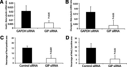 FIG. 5. Semiquantitative RT-PCR was performed for insulin and glucagon (A and B, respectively) and showed significant decreases of mRNA with GIP siRNA. Similarly, the Pax6- and Nkx2.2-positive staining areas were decreased significantly in GIP siRNA-treated pancreas (C and D). Error bars represent SEM.