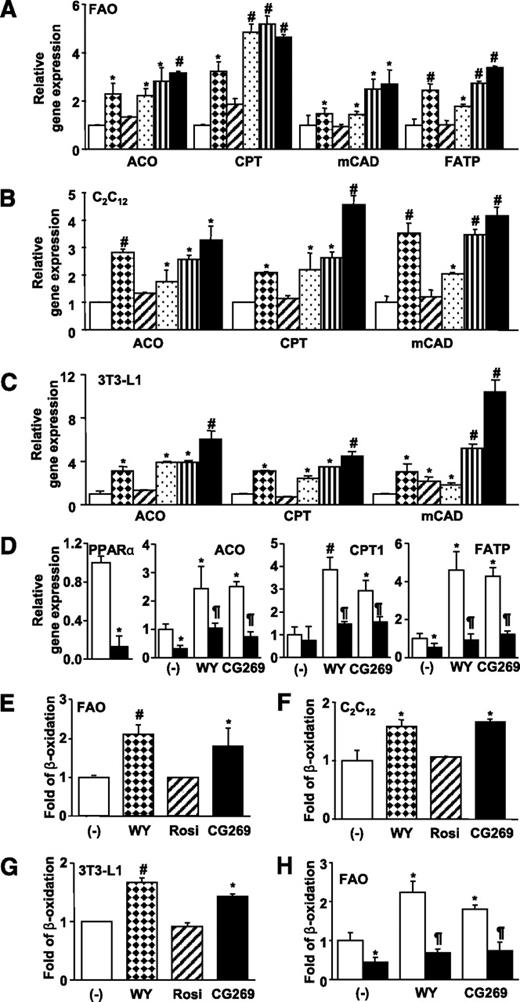 FIG. 2. CG301269 enhances in vitro fatty acid oxidation. FAO rat hepatoma cells (A), C2C12 myotubes (B), and 3T3-L1 adipocytes (C) were incubated with indicated doses of WY, rosiglitazone (Rosi), or CG269 for 24 h. Relative gene expression was analyzed by use of qRT-PCR and normalized by glyceraldehyde-3-phosphate dehydrogenase (GAPDH). Each bar represents mean ± SD of duplicates. □, (–); , WY (1 μmol/L); ▨, Rosi (1 μmol/L); , CG269 (0.5 μmol/L); ▥, CG269 (1 μmol/L); ■, CG269 (5 μmol/L). *P < 0.05 vs. (–); #P < 0.01 vs. (–). D: FAO cells were transfected with GFP siRNA (□) or PPARα siRNA (■) and treated with indicated PPAR agonists (1 μmol/L) for 24 h. Relative gene expression was measured by qRT-PCR and normalized by GAPDH. Each bar represents mean ± SD of triplicates. *P < 0.05 vs. GFP siRNA (–); #P < 0.01 vs. GFP siRNA (–); ¶P < 0.05 vs. GFP siRNA + WY or CG269. FAO (E), C2C12 (F), and 3T3-L1 (G) cells were incubated with 10 μmol/L of WY, Rosi, or CG269 for 24 h. Fatty acid oxidation assay was performed as described in research design and methods. Each bar represents mean ± SD of triplicates. *P < 0.05 vs. negative control; #P < 0.01 vs. negative control. H: FAO cells were transfected with GFP siRNA (□) or PPARα siRNA (■) and were subjected to fatty acid oxidation assay. Each bar represents mean ± SD of triplicates. *P < 0.05 vs. GFP siRNA; #P < 0.01 vs. GFP siRNA; ¶P < 0.05 vs. GFP siRNA + WY or CG269.