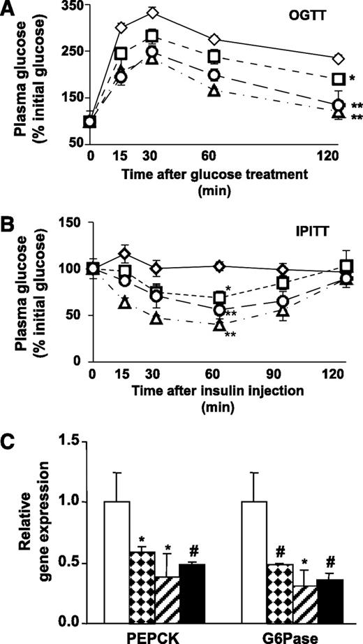 FIG. 5. CG301269 ameliorates glucose and insulin tolerance in db/db mice. Mice were fasted and injected with glucose (A) or insulin (B) as described in research design and methods. Plasma glucose and insulin levels were measured from the blood samples that were drawn at baseline (t = 0 min) and indicated time points. ◇, vehicle; □, WY14643; △, rosiglitazone; ○, CG301269. C: Relative gene expression of gluconeogenic genes from the liver of indicated drug-treated obese db/db mice were determined by use of qRT-PCR and normalized with glyceraldehyde-3-phosphate dehydrogenase. Data represent means ± SD. □, Veh; , WY; ▨, Rosi; ■, CG269. *P < 0.05 vs. Veh, #P < 0.01 vs. Veh.